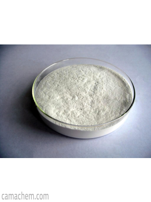 Polyanionic Cellulose (PAC)