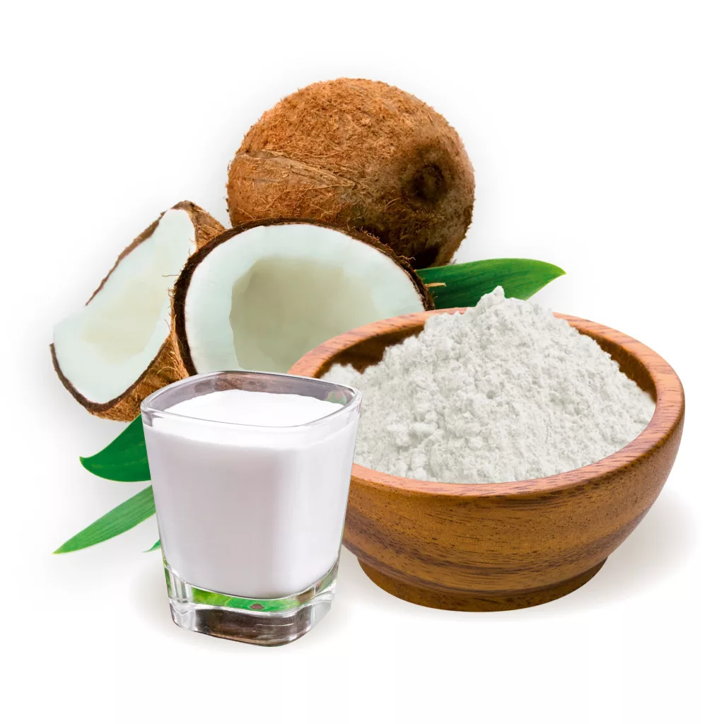 Coconut Milk Powder Coconut Milk Powder