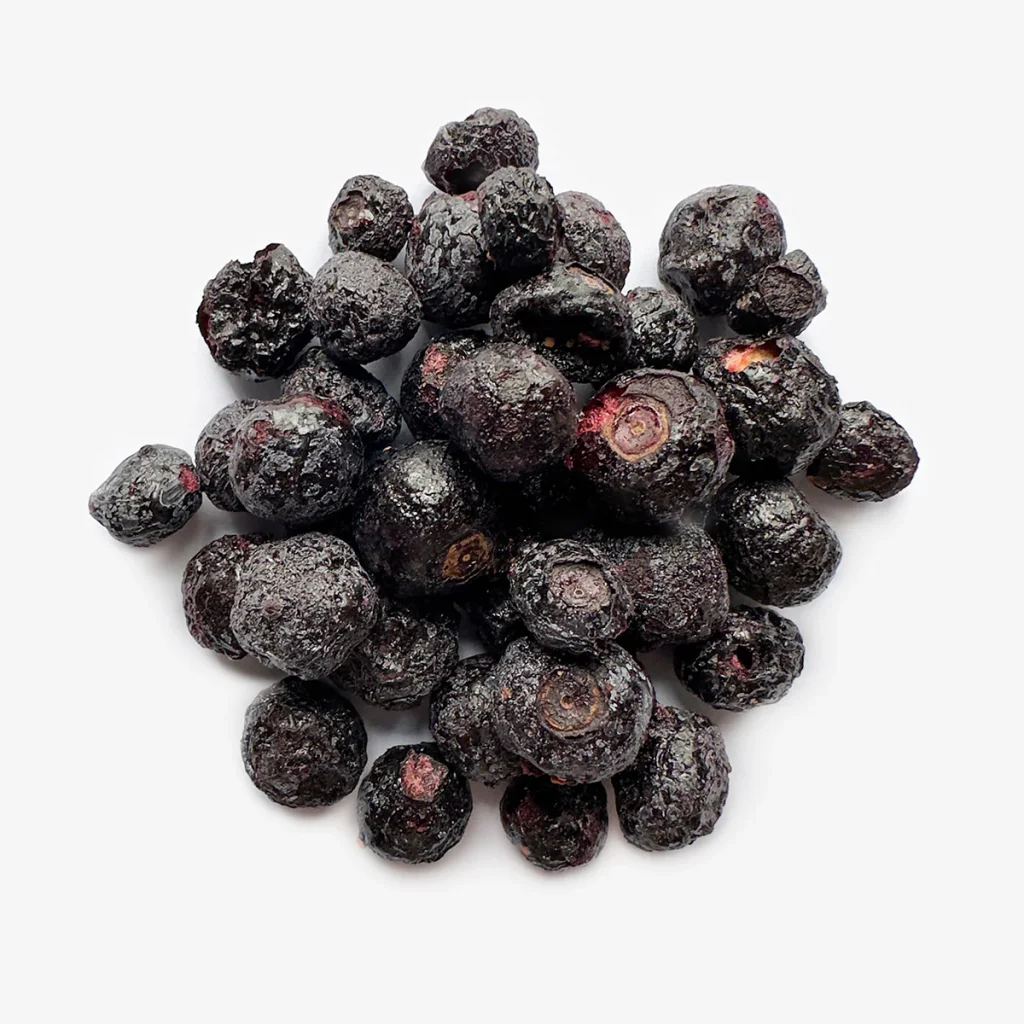 Freeze – Dried Blueberry Scarified