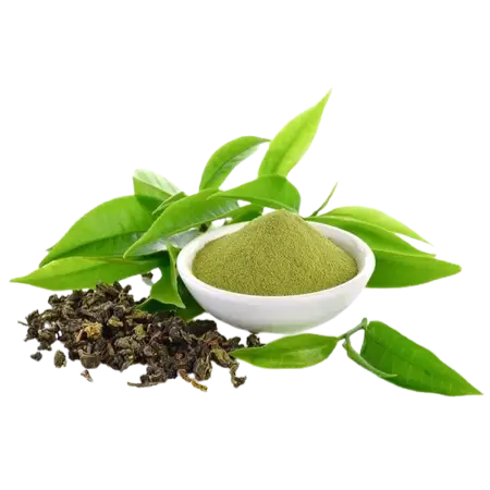 Green Tea Extract