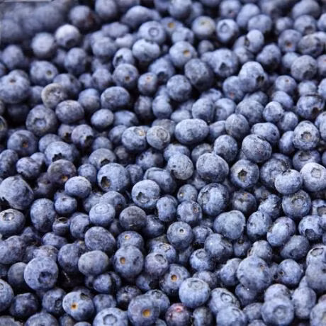 IQF Wild Blueberry