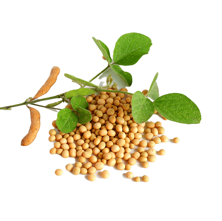 Nattokinase