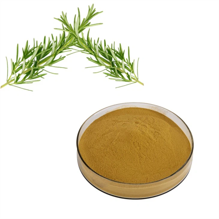 Rosemary Extract