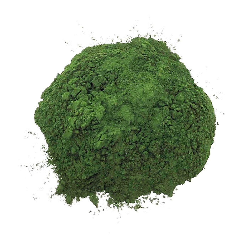 Chlorella