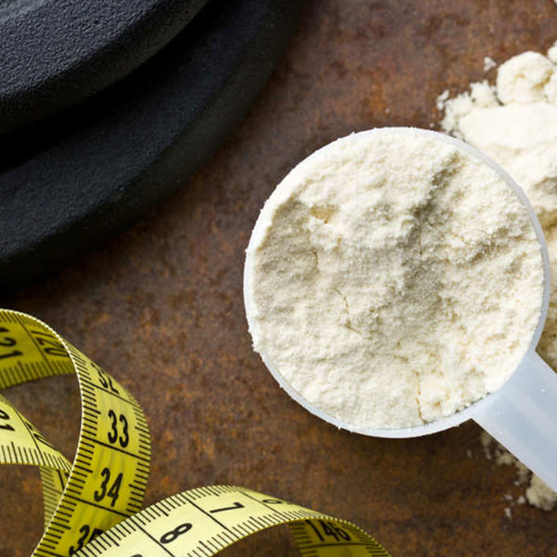Whey Protein Hydrolized 80% (WPH 80) Whey Protein Hydrolized 80% (WPH 80)